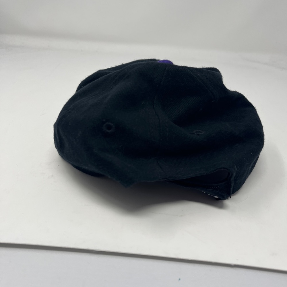 Box Seat Vintage‎ Logo Tampa Bay Devil Rays MLB Baseball snapback hat - Picture 3 of 5